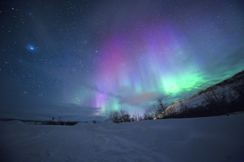 Arctic